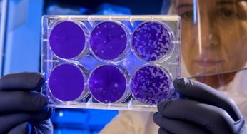 Advancements in Pharmaceutical Research: The Skills in Demand