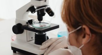 Behind the Scenes in Antibody Production: What Quality Control Really Looks Like